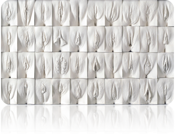 the_great_wall_of_vagina the_great_wall_of_vagina